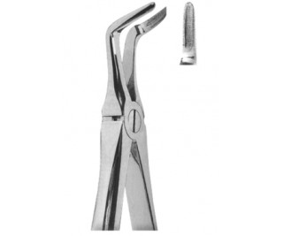 Extracting Forceps English pattern